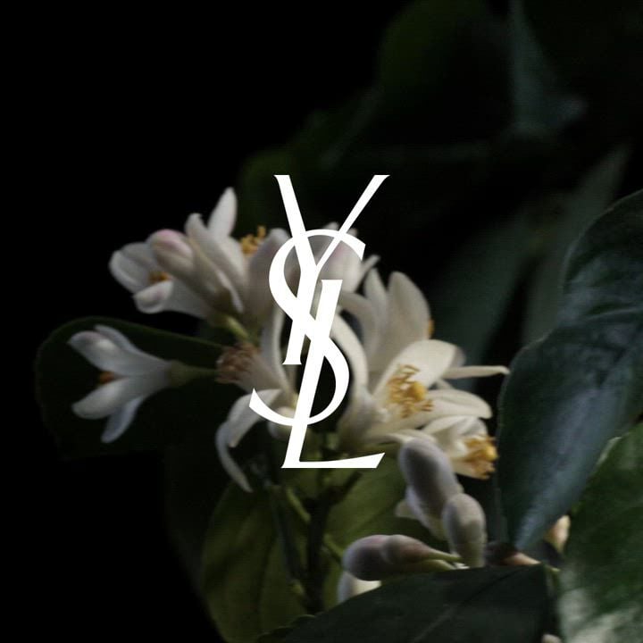 Musk Unisex Perfume Saharienne — Unisex Fragrance — YSL Beauty